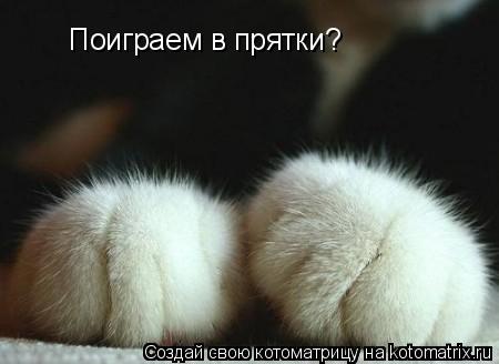 Поиграем в прятки?... Котоматрица: Поиграем в прятки?