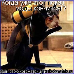 Когда уже этот показ моды кончится!?... Котоматрица: Когда уже этот показ моды кончится!?
