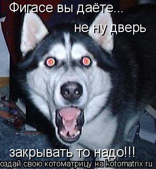 Фигасе вы даёте... не ну дверь закрывать то надо!!!... Котоматрица: Фигасе вы даёте... не ну дверь закрывать то надо!!!