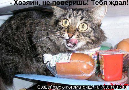 ... Котоматрица: