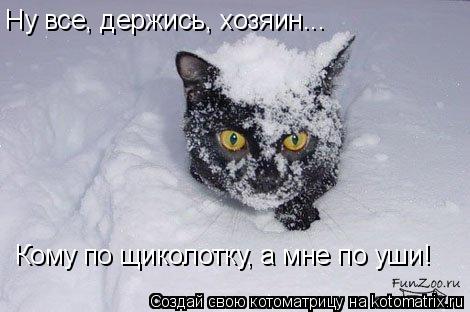 Ну все, держись, хозяин... Кому по щиколотку, а мне по уши!... Котоматрица: Ну все, держись, хозяин... Кому по щиколотку, а мне по уши!