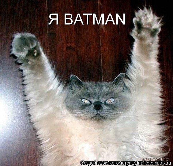Я BATMAN... Котоматрица: Я BATMAN