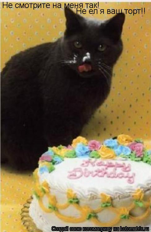 Не смотрите на меня так! Не ел я ваш торт!!... Котоматрица: Не смотрите на меня так! Не ел я ваш торт!!