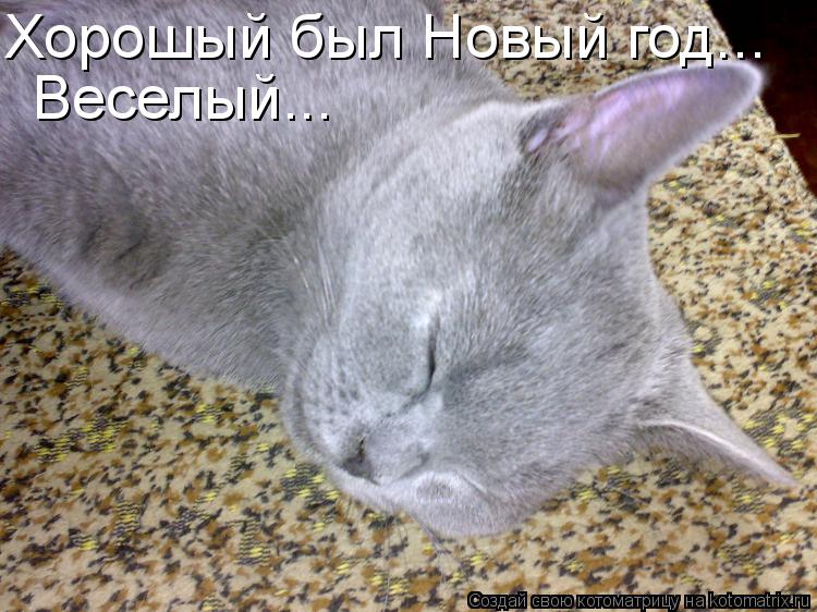 Хорошый был Новый год... Веселый...... Котоматрица: Хорошый был Новый год... Веселый...