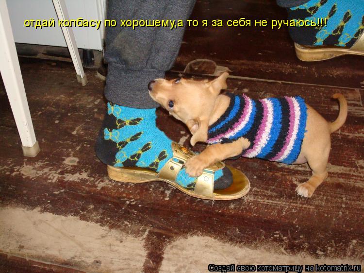 отдай колбасу по хорошему,а то я за себя не ручаюсь!!!... Котоматрица: отдай колбасу по хорошему,а то я за себя не ручаюсь!!!