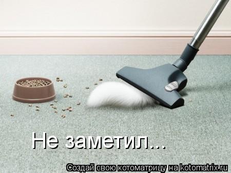 Не заметил...... Котоматрица: Не заметил...