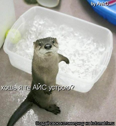 хошь я те АЙС устрою? by AnkO... Котоматрица: хошь я те АЙС устрою? by AnkO