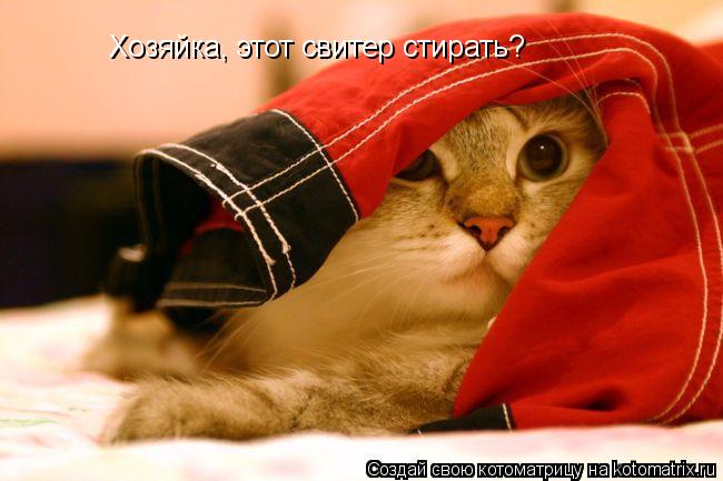 Хозяйка, этот свитер стирать?... Котоматрица: Хозяйка, этот свитер стирать?