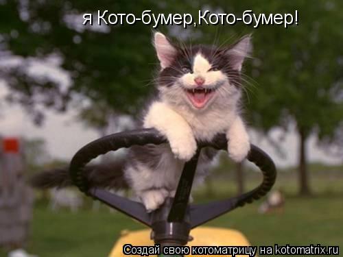 я Кото-бумер,Кото-бумер!... Котоматрица: я Кото-бумер,Кото-бумер!