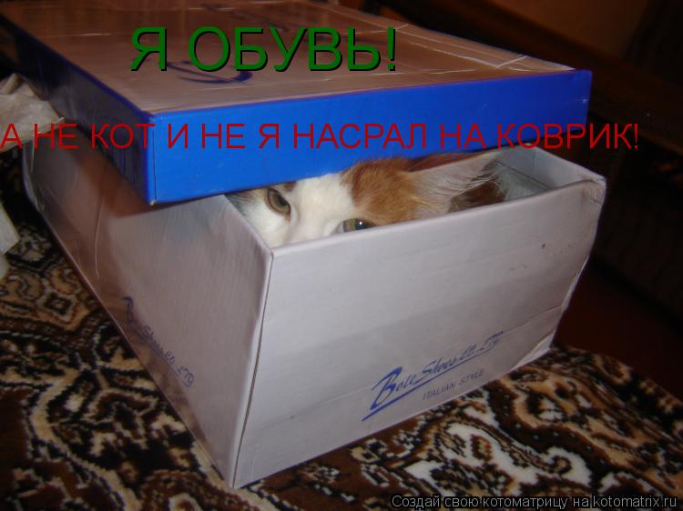 Я ОБУВЬ! А НЕ КОТ И НЕ Я НАСРАЛ НА КОВРИК!... Котоматрица: Я ОБУВЬ! А НЕ КОТ И НЕ Я НАСРАЛ НА КОВРИК!