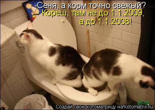 -Сеня, а корм точно свежый? - Кореш, там не до 1.1.2009, а до 1.1.2008!... Котоматрица: -Сеня, а корм точно свежый? - Кореш, там не до 1.1.2009, а до 1.1.2008!