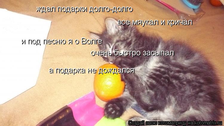 ждал подарки долго-долго все мяукал и кричал и под песню я о Волге очень быстро засыпал а подарка не ... Котоматрица: ждал подарки долго-долго все мяукал и кричал и под песню я о Волге очень быстро засыпал а подарка не дождался