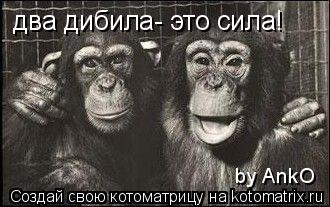 два дибила- это сила! by AnkO... Котоматрица: два дибила- это сила! by AnkO