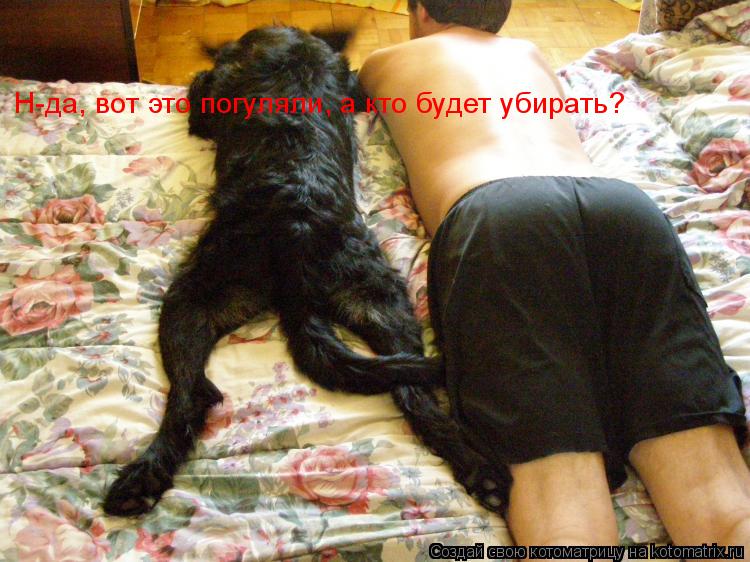 Н-да, вот это погуляли, а кто будет убирать?... Котоматрица: Н-да, вот это погуляли, а кто будет убирать?