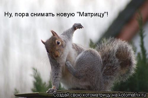 Ну, пора снимать новую "Матрицу"!... Котоматрица: Ну, пора снимать новую "Матрицу"!