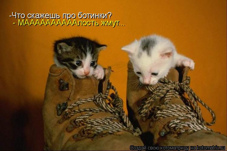 -Что скажешь про ботинки? - МААААААААААлость жмут...... Котоматрица: -Что скажешь про ботинки? - МААААААААААлость жмут...