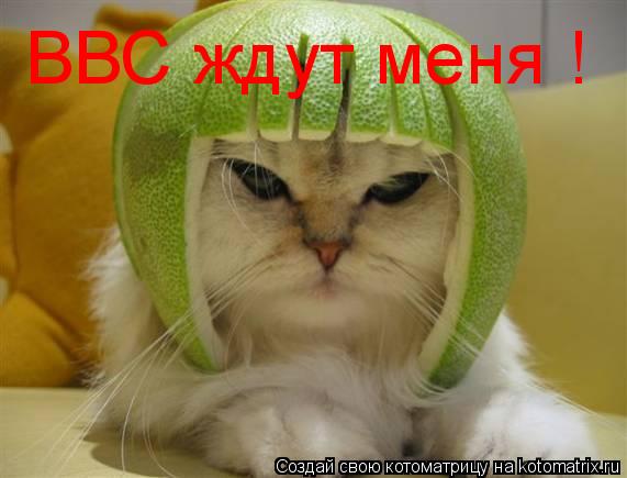 ВВС ждут меня !... Котоматрица: ВВС ждут меня !