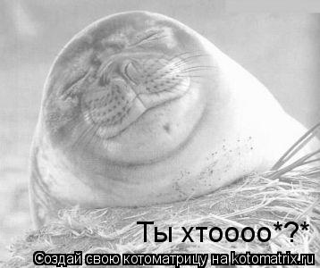 Ты хтоооо*?*... Котоматрица: Ты хтоооо*?*