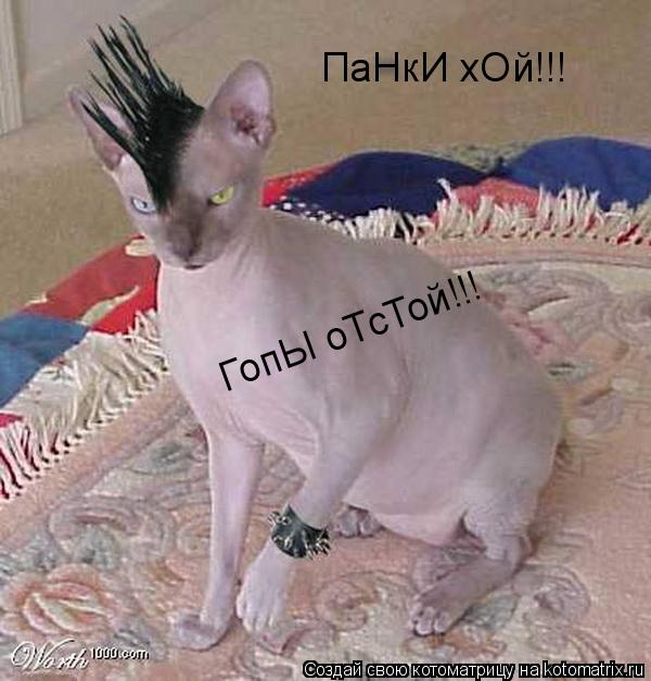 ПаНкИ хОй!!! ГопЫ оТсТой!!!... Котоматрица: ПаНкИ хОй!!! ГопЫ оТсТой!!!