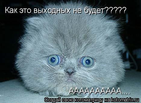 Как это выходных не будет????? АААААААААА....... Котоматрица: Как это выходных не будет????? АААААААААА....