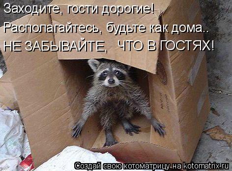 Заходите, гости дорогие! Располагайтесь, будьте как дома.. НЕ ЗАБЫВАЙТЕ, ЧТО В ГОСТЯХ!... Котоматрица: Заходите, гости дорогие! Располагайтесь, будьте как дома.. НЕ ЗАБЫВАЙТЕ, ЧТО В ГОСТЯХ!