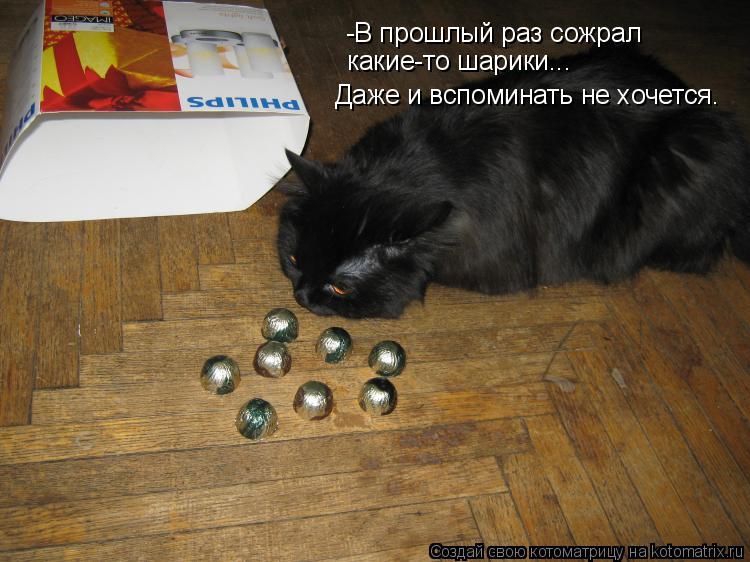 -В прошлый раз сожрал какие-то шарики... Даже и вспоминать не хочется.... Котоматрица: -В прошлый раз сожрал какие-то шарики... Даже и вспоминать не хочется.