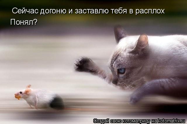 Сейчас догоню и заставлю тебя в расплох Сейчас догоню и заставлю тебя в расплох Понял?... Котоматрица: Сейчас догоню и заставлю тебя в расплох Сейчас догоню и заставлю тебя в расплох Понял?
