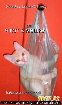 я кот в мешке... Котоматрица: я кот в мешке
