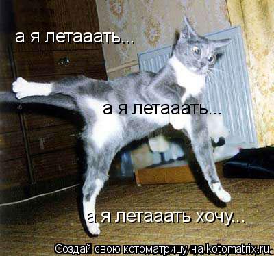 а я летааать... а я летааать... а я летааать хочу...... Котоматрица: а я летааать... а я летааать... а я летааать хочу...