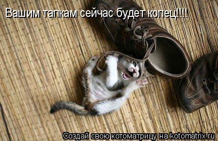 Вашим тапкам сейчас будет копец!!!!... Котоматрица: Вашим тапкам сейчас будет копец!!!!