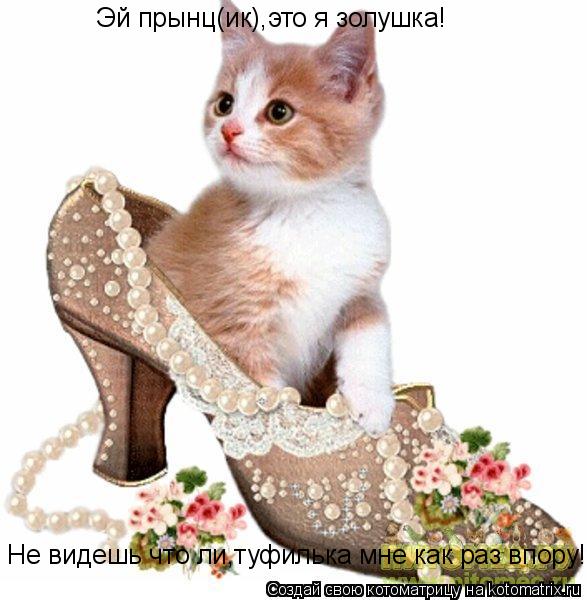 Эй прынц(ик),это я золушка! Не видешь что ли,туфилька мне как раз впору!... Котоматрица: Эй прынц(ик),это я золушка! Не видешь что ли,туфилька мне как раз впору!