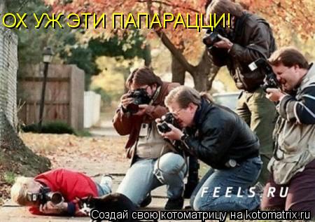 ОХ УЖ ЭТИ ПАПАРАЦЦИ!... Котоматрица: ОХ УЖ ЭТИ ПАПАРАЦЦИ!