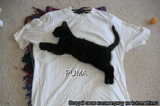 PUMA... Котоматрица: PUMA