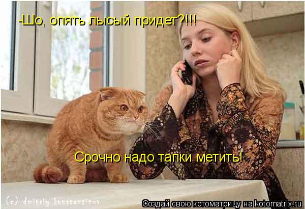-Шо, опять лысый придет?!!! Срочно надо тапки метить!... Котоматрица: -Шо, опять лысый придет?!!! Срочно надо тапки метить!