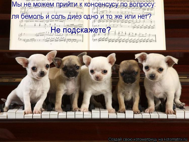 ля бемоль и соль диез одно и то же или нет? Мы не можем прийти к консенсусу по вопросу: Не подскажете... Котоматрица: ля бемоль и соль диез одно и то же или нет? Мы не можем прийти к консенсусу по вопросу: Не подскажете?