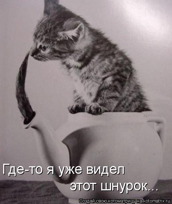 Где-то я уже видел этот шнурок...... Котоматрица: Где-то я уже видел этот шнурок...