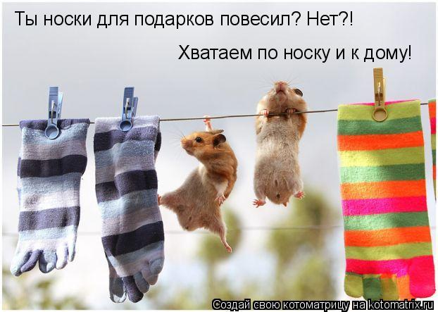 Хватаем по носку и к дому! Ты носки для подарков повесил? Нет?!... Котоматрица: Хватаем по носку и к дому! Ты носки для подарков повесил? Нет?!
