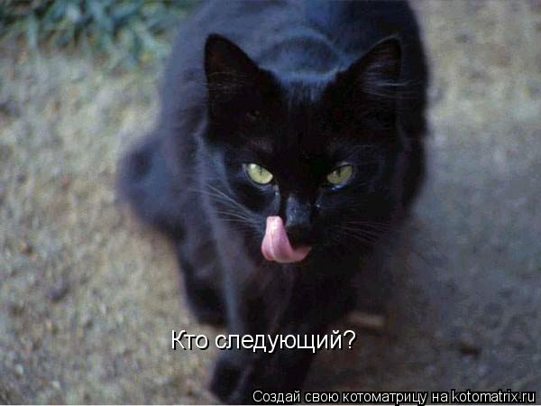 Кто следующий?... Котоматрица: Кто следующий?