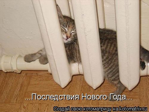 ...Последствия Нового Года...... Котоматрица: ...Последствия Нового Года...