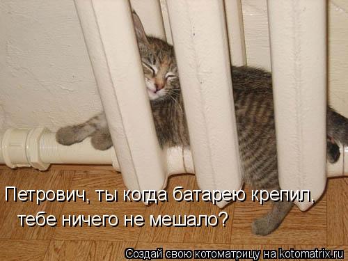 Петрович, ты когда батарею крепил, тебе ничего не мешало?... Котоматрица: Петрович, ты когда батарею крепил, тебе ничего не мешало?