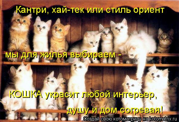 КОШКА украсит любой интерьер, душу и дом согревая! Кантри, хай-тек или стиль ориент мы для жилья выби... Котоматрица: КОШКА украсит любой интерьер, душу и дом согревая! Кантри, хай-тек или стиль ориент мы для жилья выбираем -