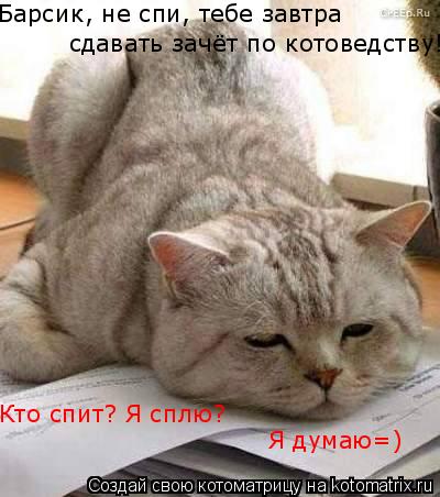 Котоматрица: Барсик, не спи, тебе завтра сдавать зачёт по котоведству! Кто спит? Я сплю? Я думаю=)