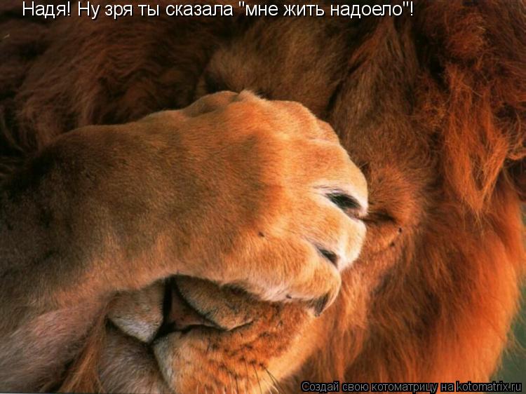 Надя! Ну зря ты сказала "мне жить надоело"!... Котоматрица: Надя! Ну зря ты сказала "мне жить надоело"!