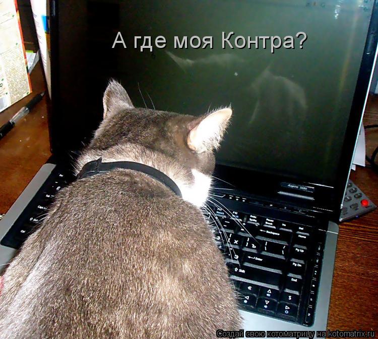 А где моя Контра?... Котоматрица: А где моя Контра?