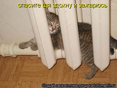 спасите щя здохну и зажарюсь... Котоматрица: спасите щя здохну и зажарюсь