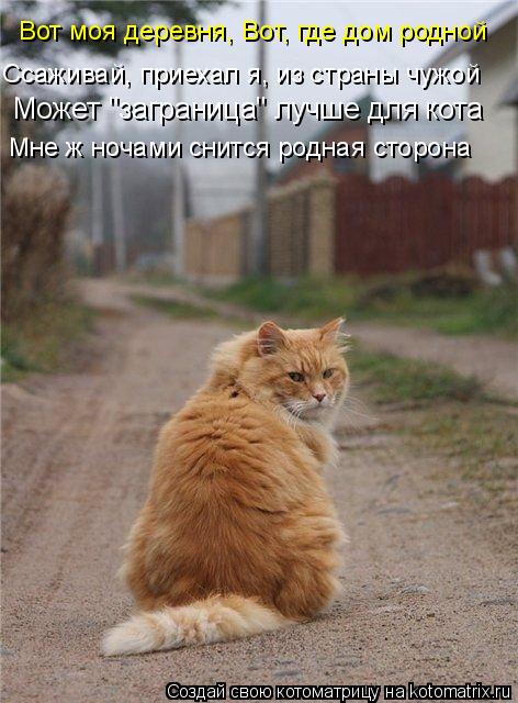 Вот моя деревня, Вот, где дом родной Может "заграница" лучше для кота Мне ж ночами снится родная стор... Котоматрица: Вот моя деревня, Вот, где дом родной Может "заграница" лучше для кота Мне ж ночами снится родная сторона Ссаживай, приехал я, из страны чужой