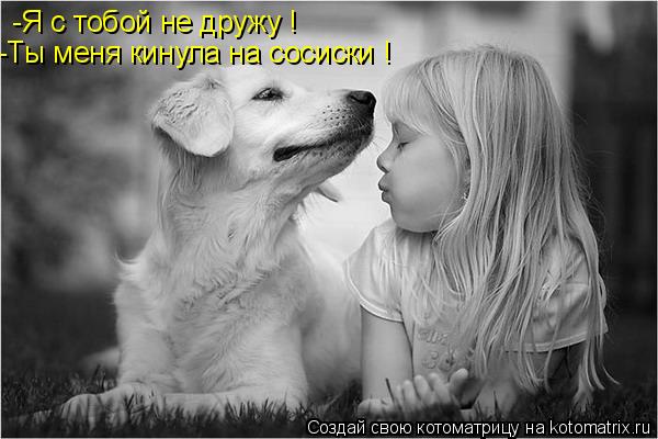 Котоматрица: -Я с тобой не дружу !  -Ты меня кинула на сосиски !