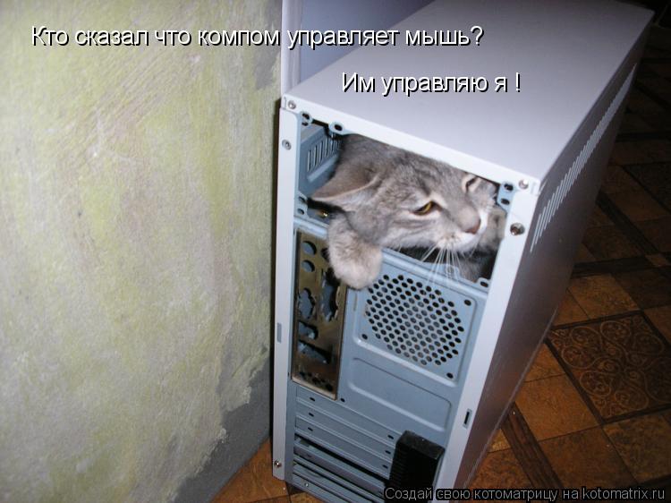 Кто сказал что компом управляет мышь? Им управляю я !... Котоматрица: Кто сказал что компом управляет мышь? Им управляю я !