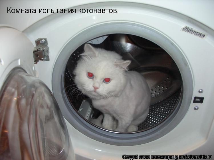 Комната испытания котонавтов.... Котоматрица: Комната испытания котонавтов.