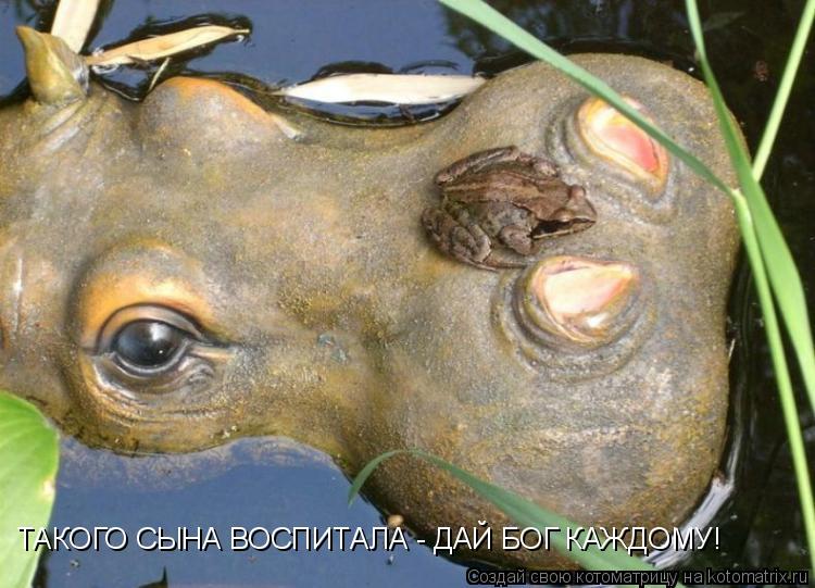 ТАКОГО СЫНА ВОСПИТАЛА - ДАЙ БОГ КАЖДОМУ!... Котоматрица: ТАКОГО СЫНА ВОСПИТАЛА - ДАЙ БОГ КАЖДОМУ!
